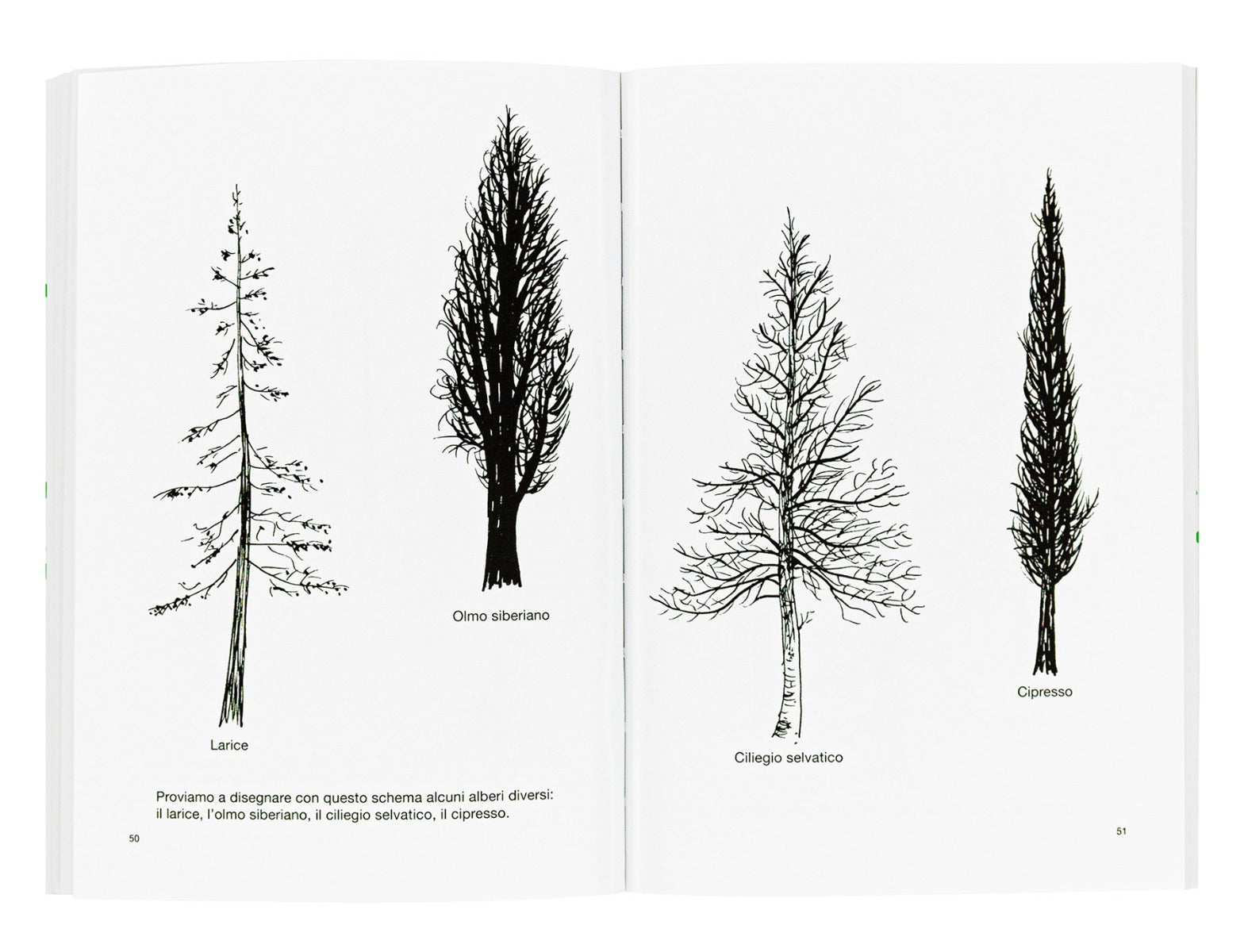 Libro - Disegnare un albero, di Bruno Munari